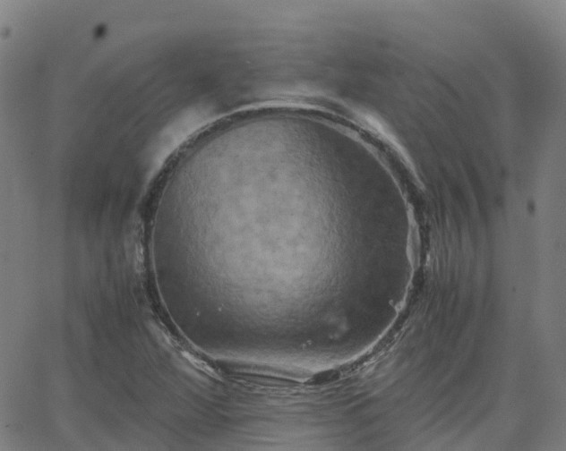 X0000062831360200601201602