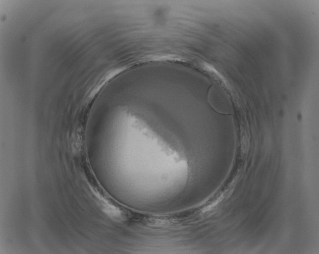 X0000062831361200601201602