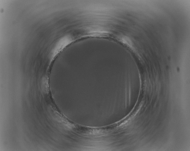 X0000062831362200601201602