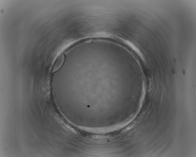 X0000062831364200601201602