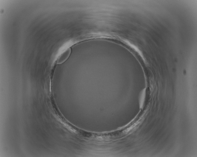 X0000062831365200601201602