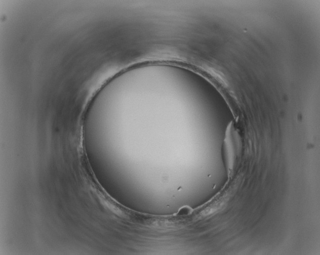 X0000062831366200601201602