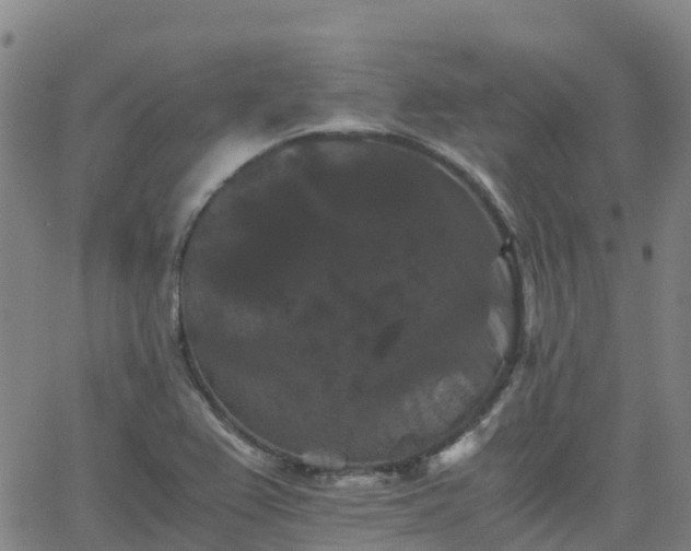 X0000062831367200601201602