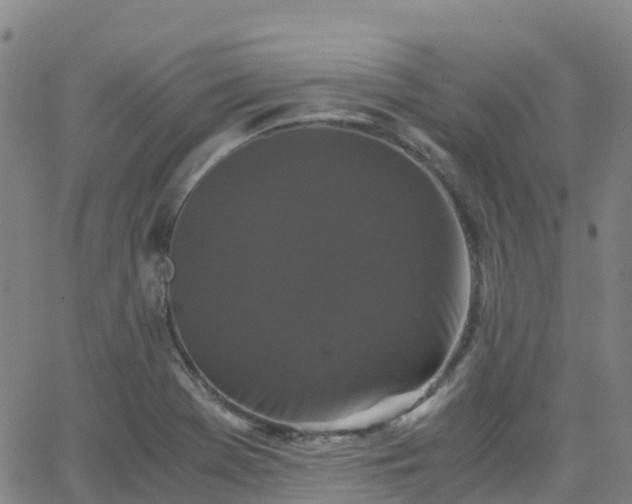 X0000062831369200601201602