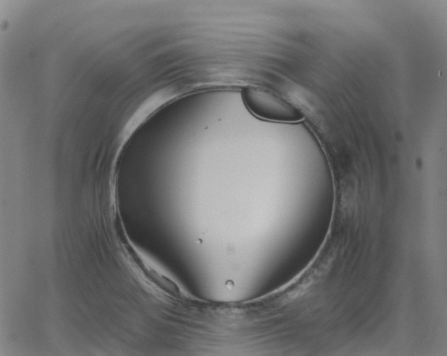 X0000062831370200601201602