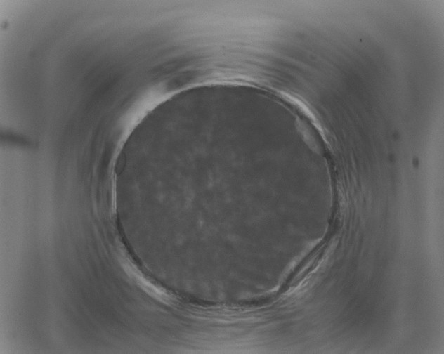 X0000062831371200601201602