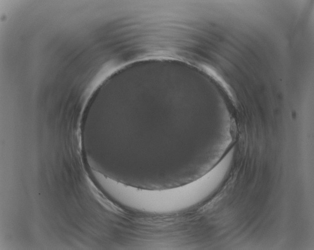 X0000062831372200601201602