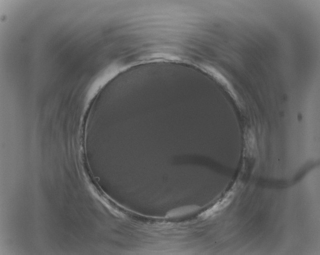 X0000062831373200601201602