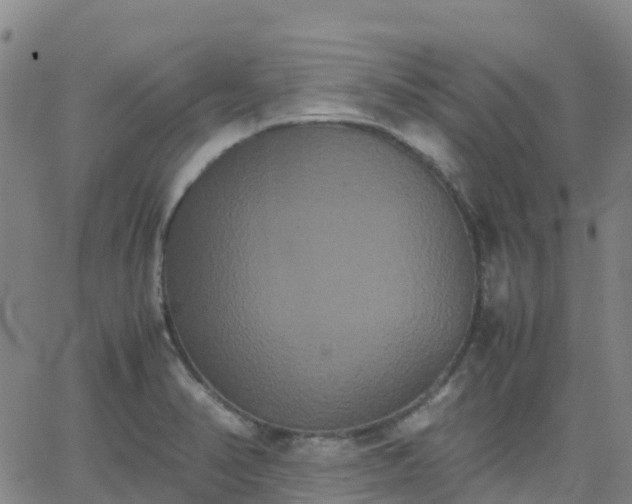 X0000062831374200601201602