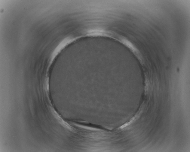 X0000062831376200601201602