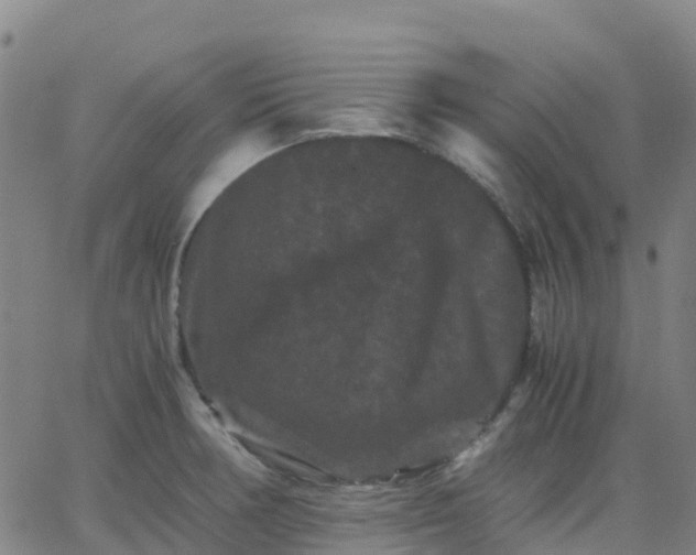 X0000062831378200601201602