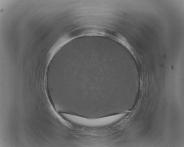 X0000062831379200601201602