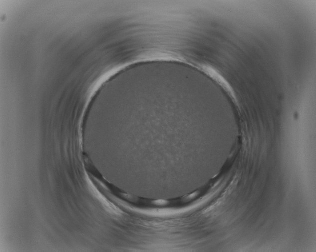 X0000062831380200601201602