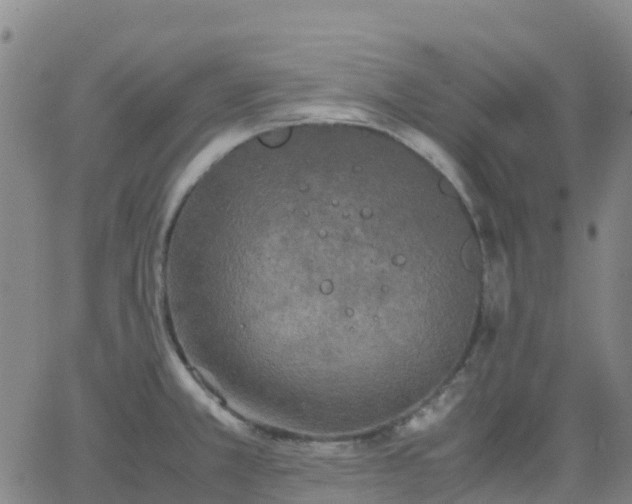 X0000062831381200601201602