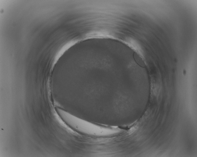 X0000062831382200601201602