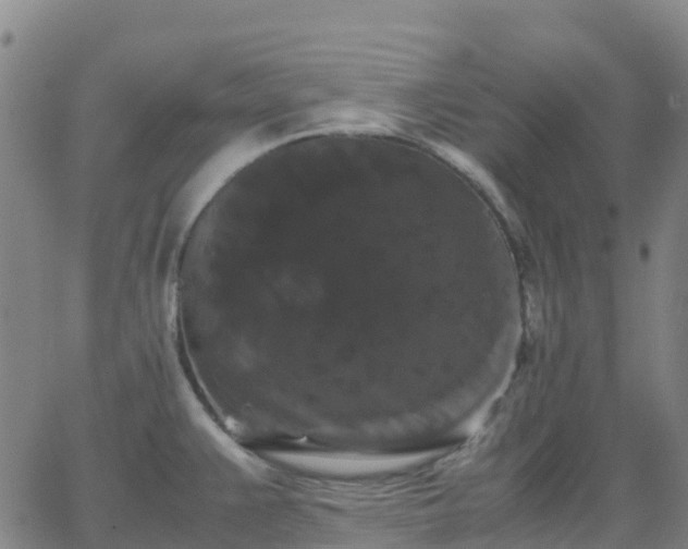 X0000062831383200601201602