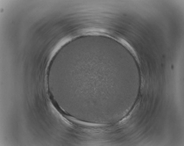 X0000062831384200601201602