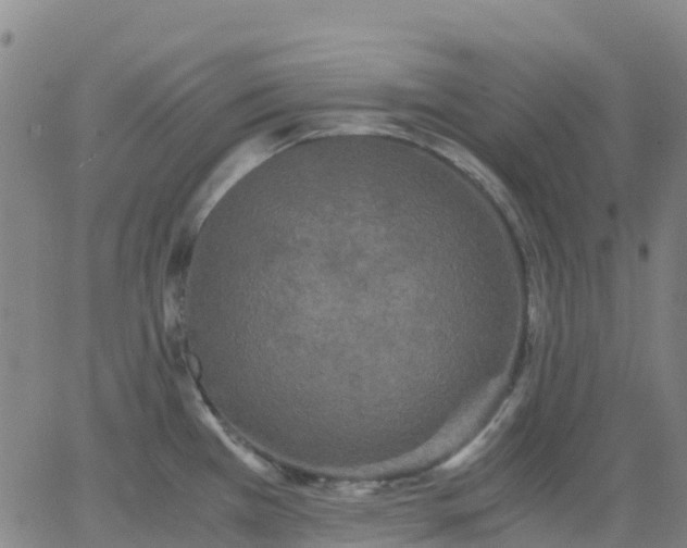 X0000062831385200601201602