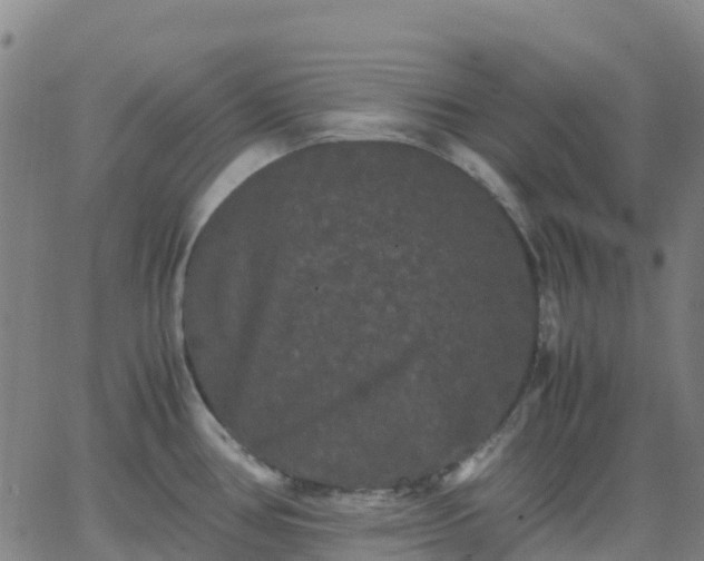 X0000062831386200601201602