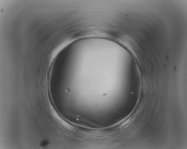 X0000062831387200601201602