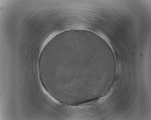 X0000062831389200601201602