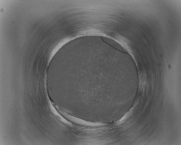 X0000062831390200601201602