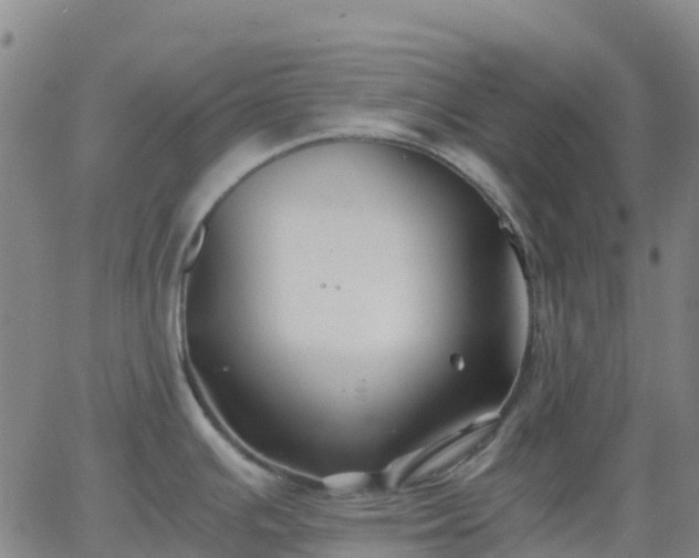 X0000062831391200601201601