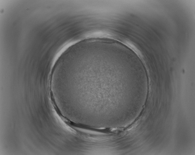 X0000062831392200601201601