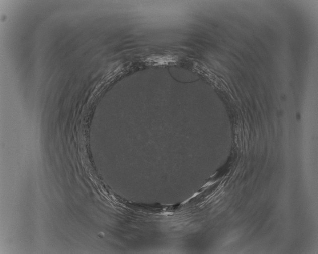 X0000062831393200601201601