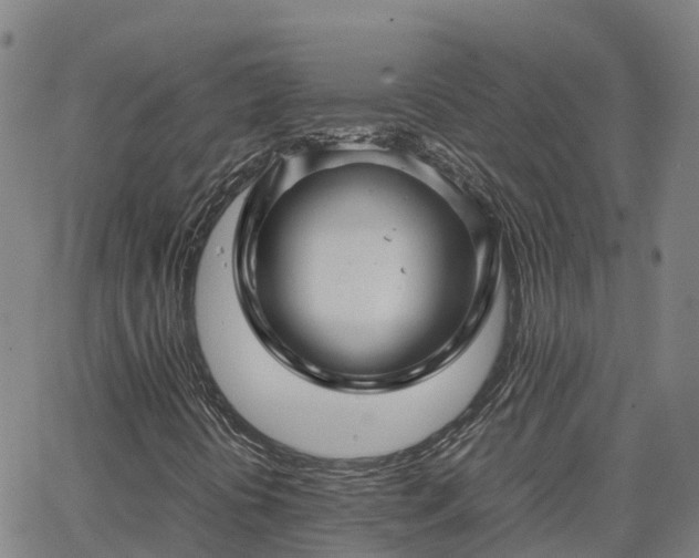 X0000062831394200601201601