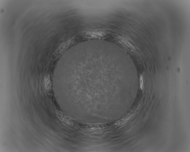 X0000062831395200601201601