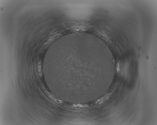 X0000062831396200601201601