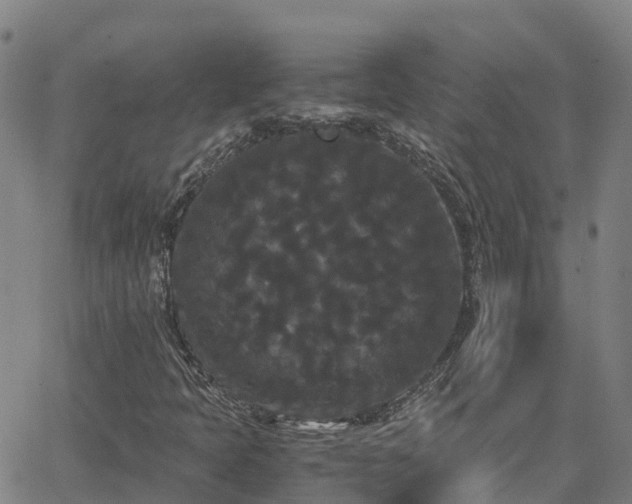 X0000062831397200601201601