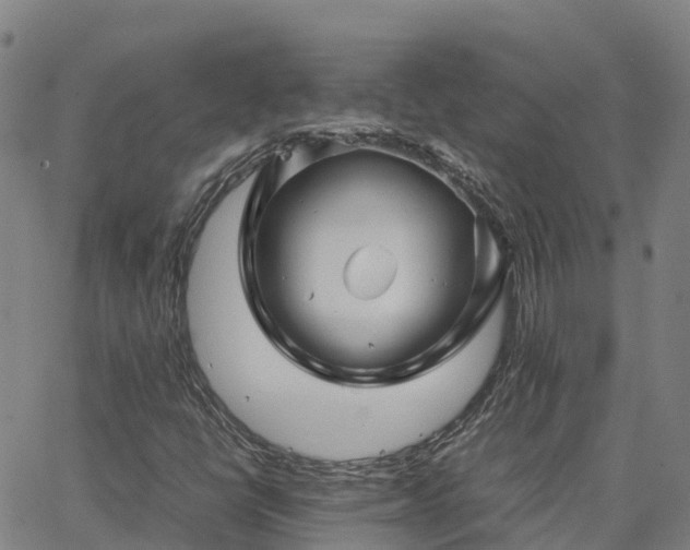 X0000062831398200601201601