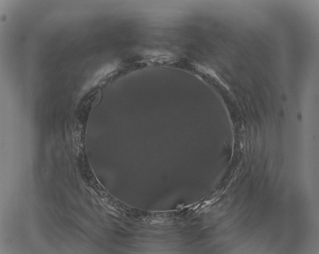 X0000062831399200601201601