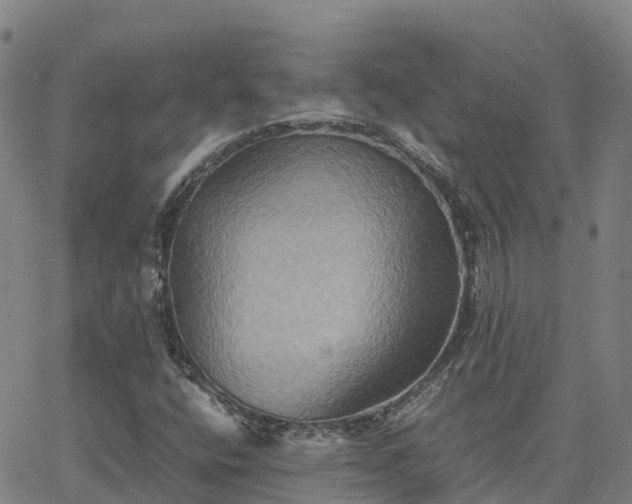 X0000062831400200601201601