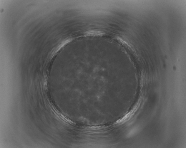 X0000062831401200601201601