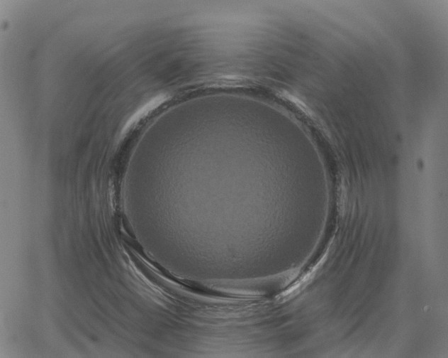 X0000062831402200601201601