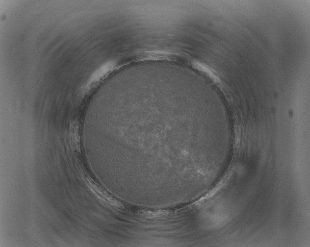 X0000062831403200601201601