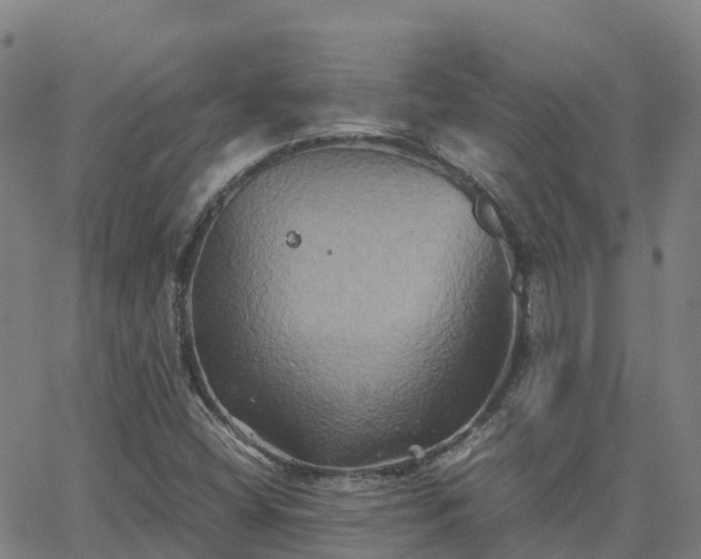 X0000062831404200601201601