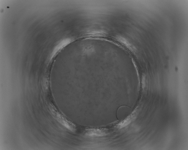 X0000062831405200601201601