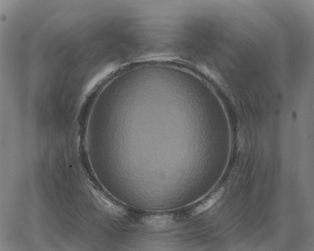 X0000062831406200601201601