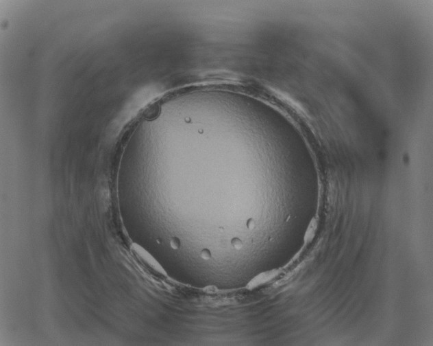 X0000062831407200601201601