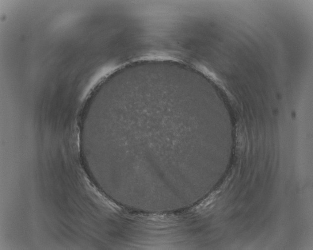 X0000062831408200601201601