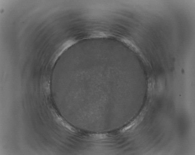 X0000062831409200601201601