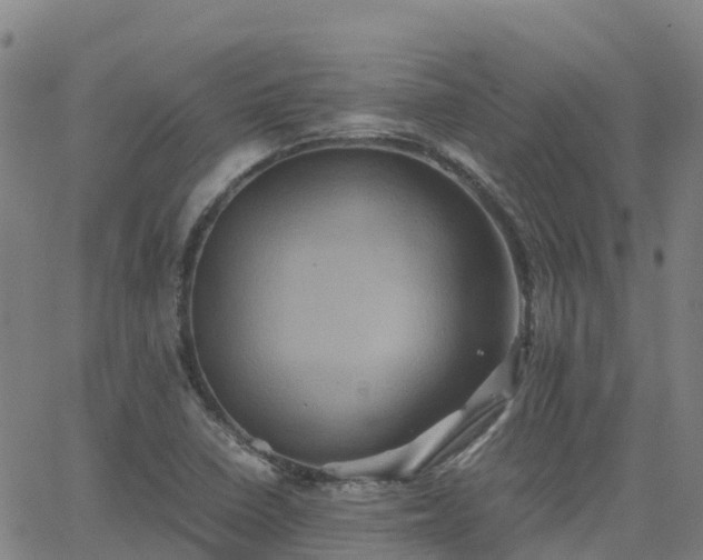 X0000062831410200601201601