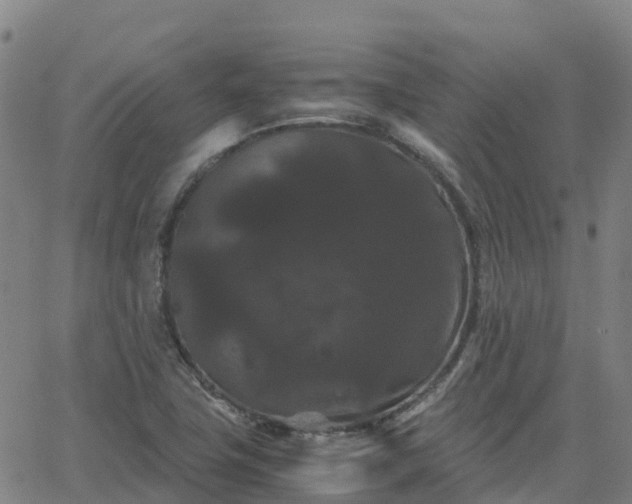 X0000062831411200601201601