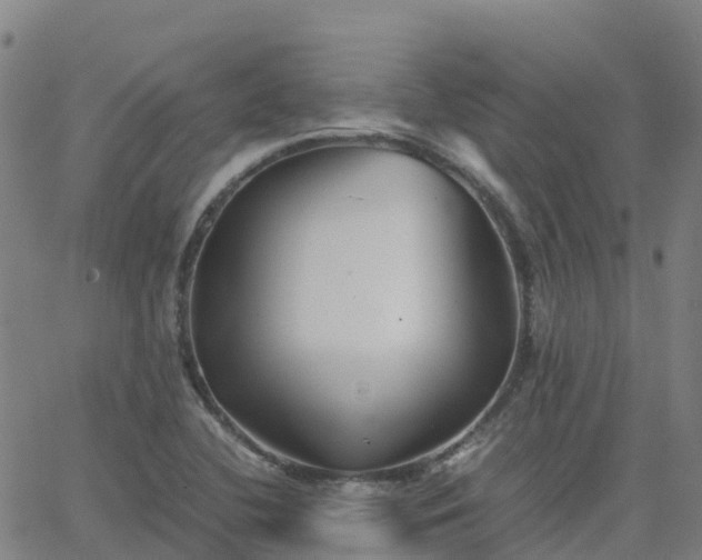 X0000062831412200601201601