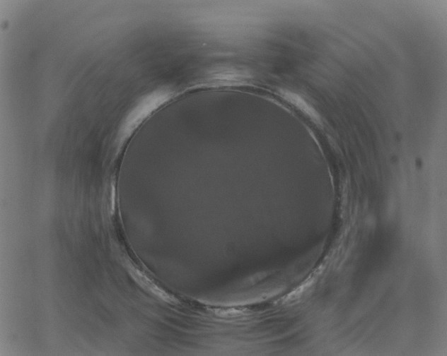 X0000062831413200601201601