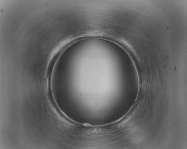 X0000062831414200601201601